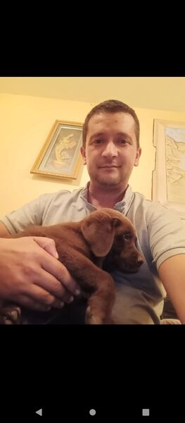  Prilep,   , 41 ,   c , 