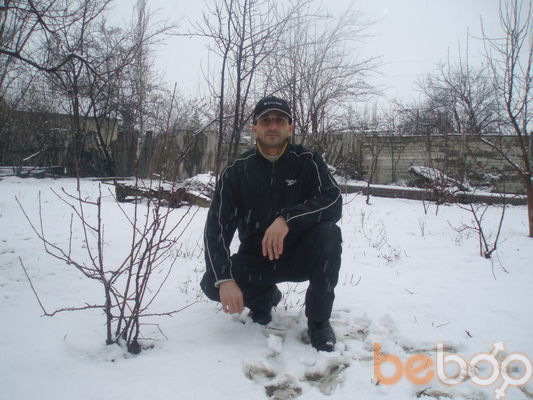  ,   Ramin, 48 ,   ,   , c 