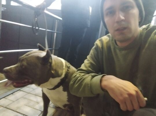  ,   Kostya, 29 ,   ,   , 