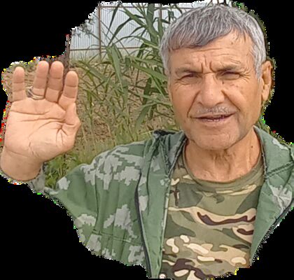   ,   , 63 ,   ,   