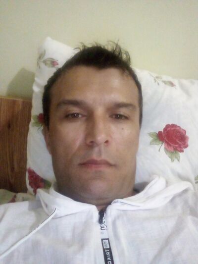  -,   , 43 ,   ,   