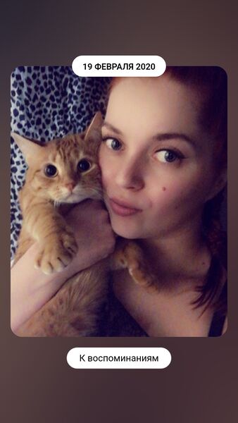  ,   , 34 ,     , c , 