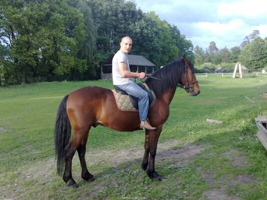  -,   , 44 ,   ,   , c 