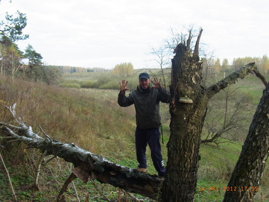  ,   Leha, 52 ,   
