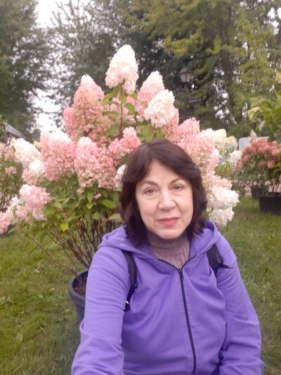  ,   , 62 ,     , c 