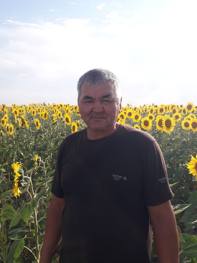  ,   , 55 ,   ,   