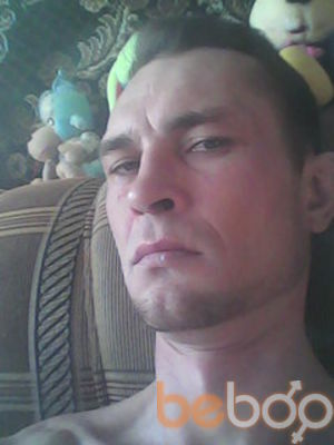  2334685  , 50 ,    