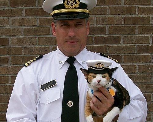 ,   Captain, 45 ,   ,   , c , 