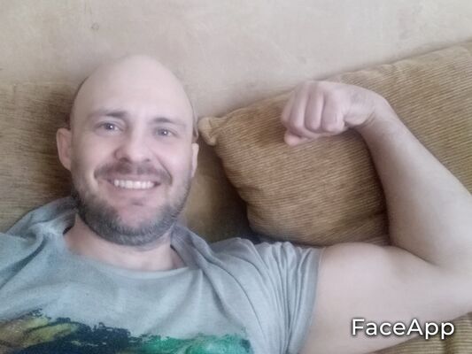  --,   , 48 ,   ,   