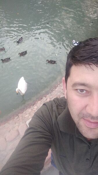  ,   Murod, 39 ,   ,   , c 