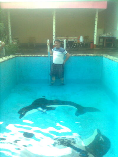  ,   Hasan, 49 ,     , c 