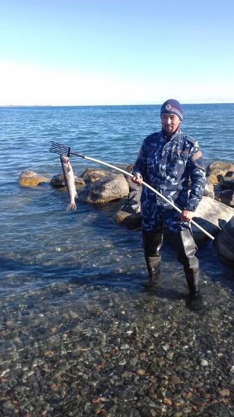  ,   Avaz, 42 ,   ,   , 