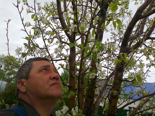  ,   Dbrnjh, 60 ,   