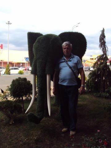  ,   , 65 ,   ,   , c 