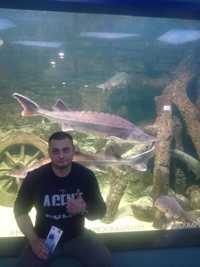  ,   Ikram, 40 ,   ,   , c 