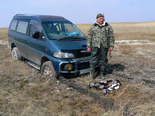  ,   Nikola, 65 ,   ,   , c 