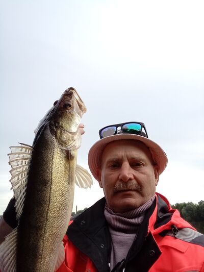   ,   , 59 ,   c 