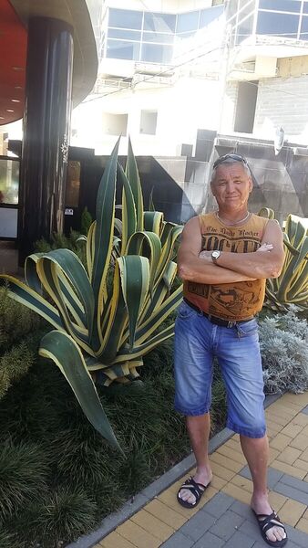  ,   , 60 ,   ,   , c 