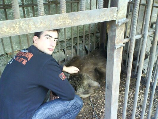  ,   Viktor, 37 ,   ,   , c 