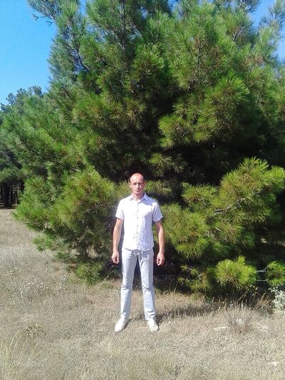  ,   Vladimir, 41 ,   