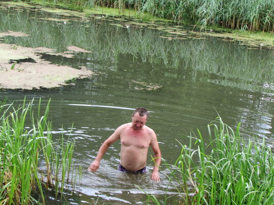  ,   , 54 ,   