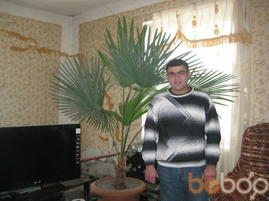  ,   Arsen, 33 ,   
