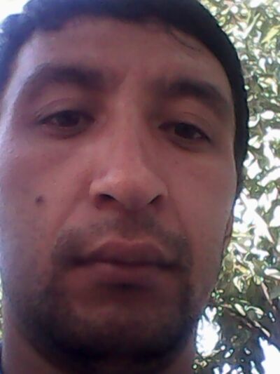  ,   ANVAR, 41 ,   ,   , c 