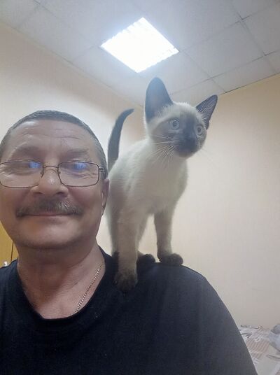  ,   , 60 ,  
