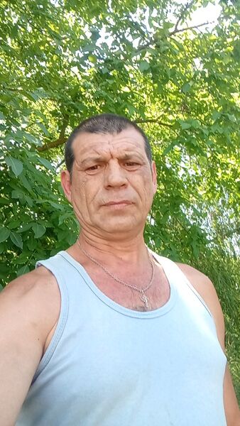  --,   , 51 ,   ,   