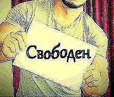  6231025  926098544, 28 ,    