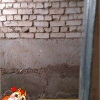 13053545  , 41 ,     