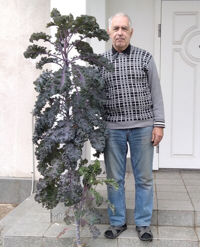  ,   , 75 ,     , c 