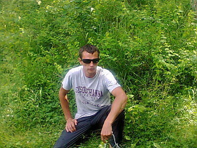  ,   , 41 ,   