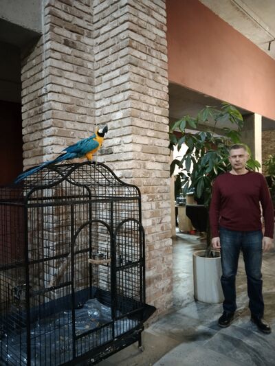  ,   , 50 ,   ,   , c 