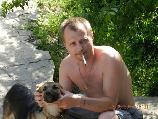  ,   , 51 ,   