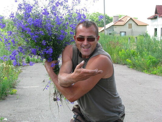  ,   , 54 ,   