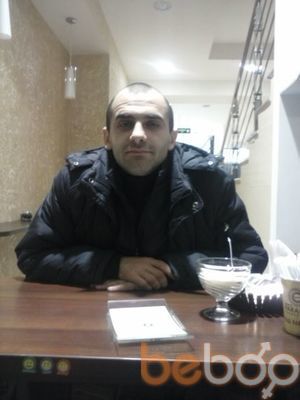  ,   Krava, 40 ,   
