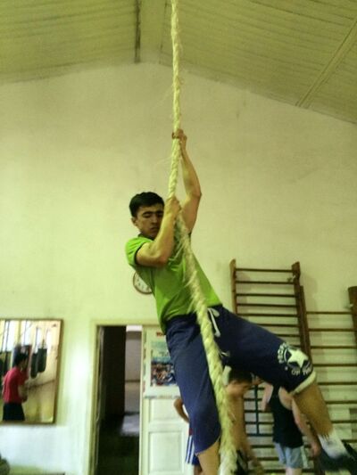  ,   Boxodir, 30 ,   ,   , c 