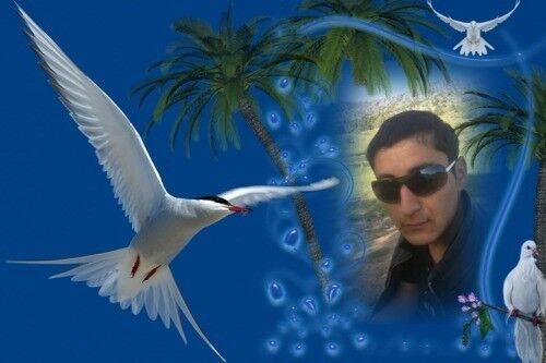 ,   Shohroj, 32 ,   