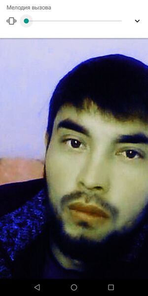  ,   Bek, 33 ,   ,   , c 