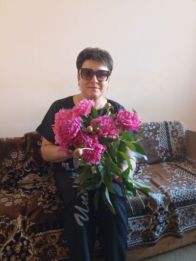  ,   , 44 ,  