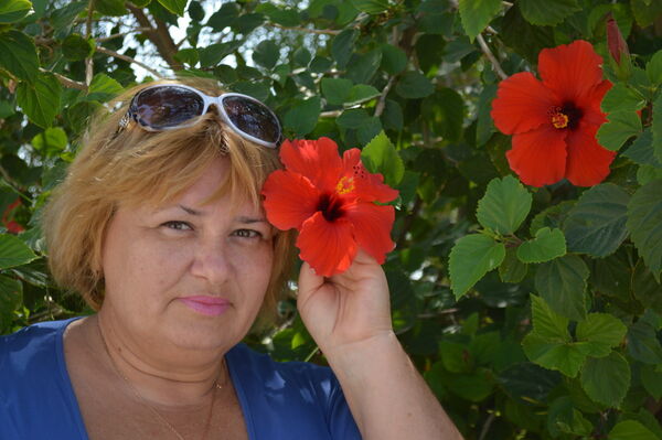  -,   , 61 ,   ,   , c 