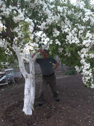  ,   , 57 ,   ,   