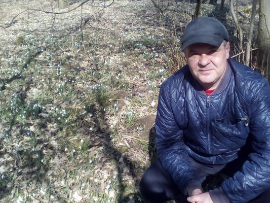  ,   , 51 ,   
