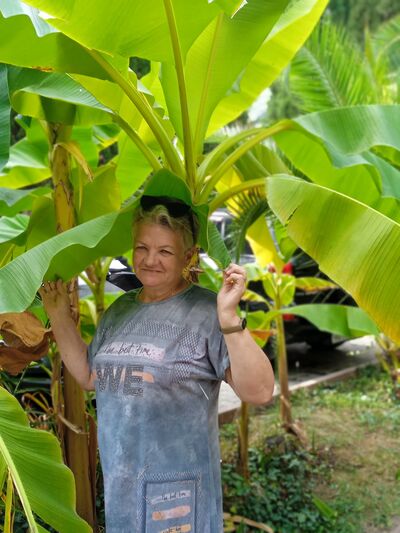  ,   , 65 ,   ,   