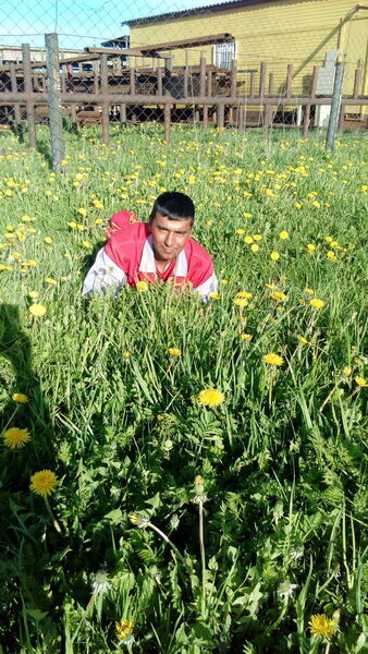  ,   Ruslan, 33 ,   ,   , c , 