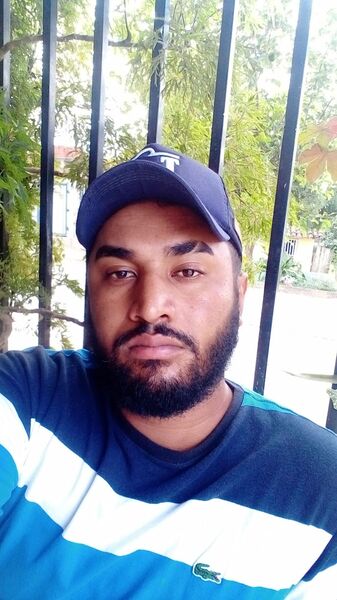  --,   Delfangh, 28 ,   ,   , c , 