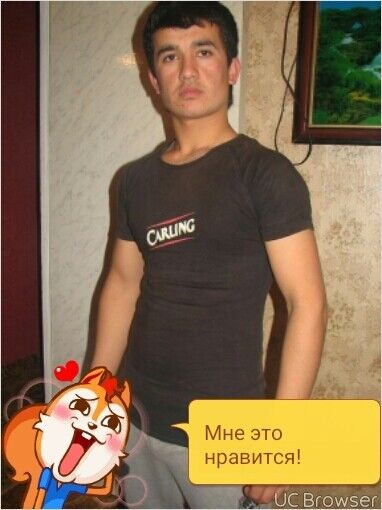  8486175  , 31 ,    