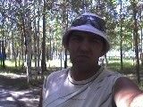  ,   GOLD LION, 51 ,   ,   , c 