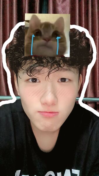  Baotou,   , 20 ,   ,   